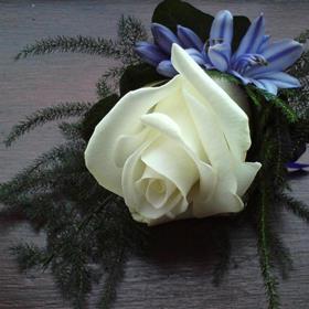 fwthumb27 single rose & agapanthus buttonhole 8.95.jpg
